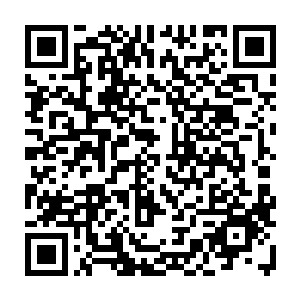 龙战便带了三十个勇士在雪狼的带领下去摸一下乌溪族所在的地方的地形情况二维码生成