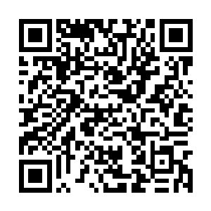 龙战把一块烤的金黄的肉放在碗里递到凌菲的手里二维码生成