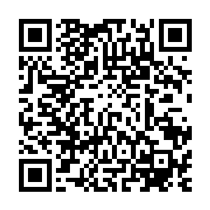 龙族跟魔兽森林的高手可不是精灵森林还有矮人族可以相比的二维码生成