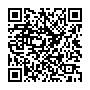 龙熙帝原本是在离这个小树林约二三里的皇家狩猎场狩猎的二维码生成