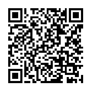 龙王将车开回了明珠和苏凡二人直接回到了龙耀会二维码生成