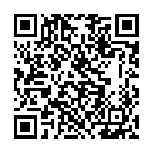 龙皇消失甚至死亡的各种言论已经在摩天之界甚嚣尘上二维码生成