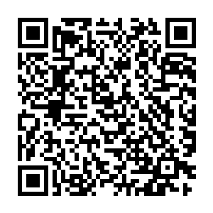 龙颜大悦的洪武大帝不无得意的指着应天城对皇子和文武百官炫耀道二维码生成