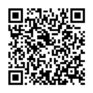 龟族王者的再次出现自然受到了许多族人的拥护和支持二维码生成