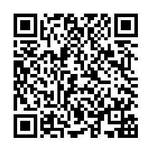 龟族王者给你的真的是八荒大帝的修炼功法和修炼心得二维码生成