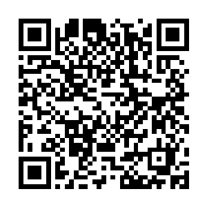 ［2015―01―02］你要是在麦田里遇到我投了1张月票二维码生成