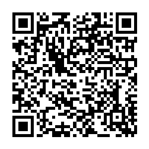 1号营地沦陷了 我们在王爵先生的带领下好不容易从1号营地活着走出來了 二维码生成