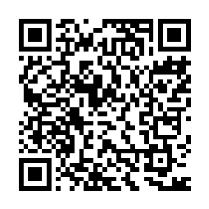 80万关注可是本女侠在好几档综艺节目里连续爆发积攒起来的二维码生成