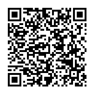 dds系统是可以在强烈的海洋噪音和水生物混响条件下保持最低的虚警率二维码生成