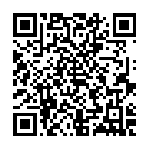 iiiii看着被其小弟抬走的问家二少爷问武能林辰无奈苦笑一声二维码生成
