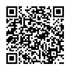 jesse和我攀谈一会儿就起身去厨房很快端着一水果拼盘出来二维码生成