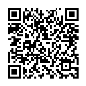 ~哎呀~~表怕表怕啦~~要是出现情况我会救你的啦~~二维码生成
