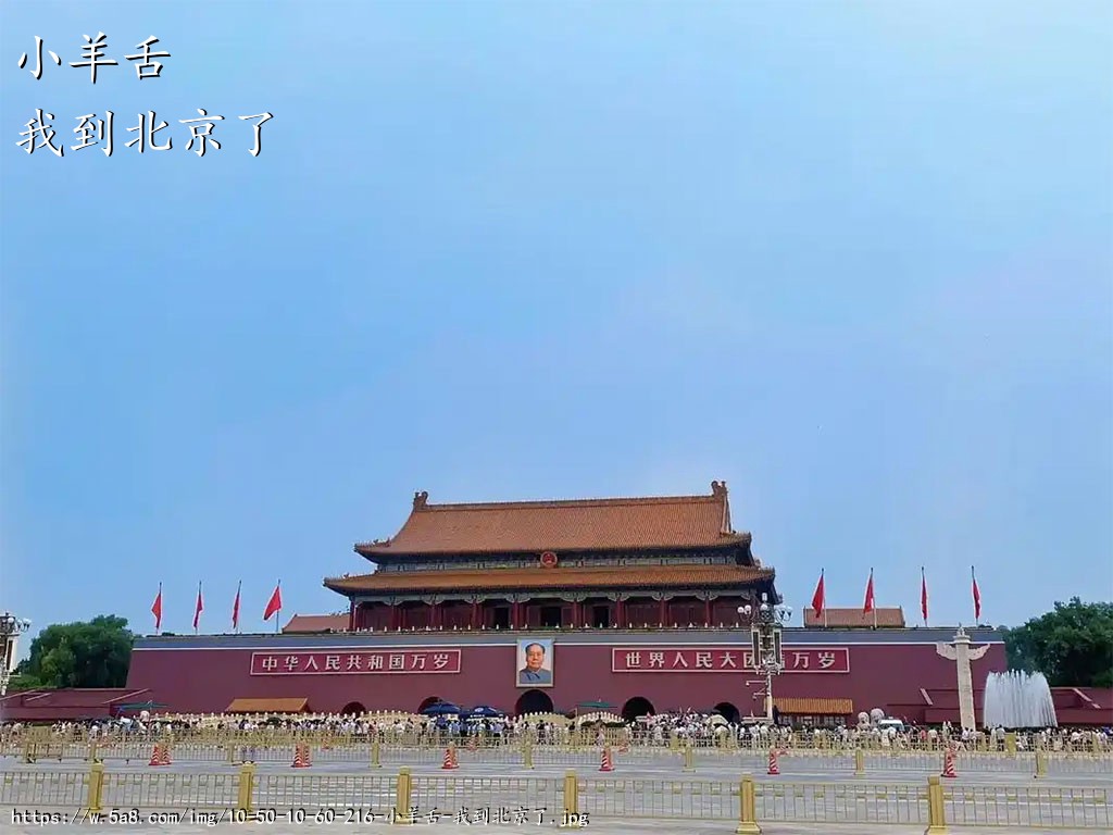 小羊舌我到北京了搞笑图片