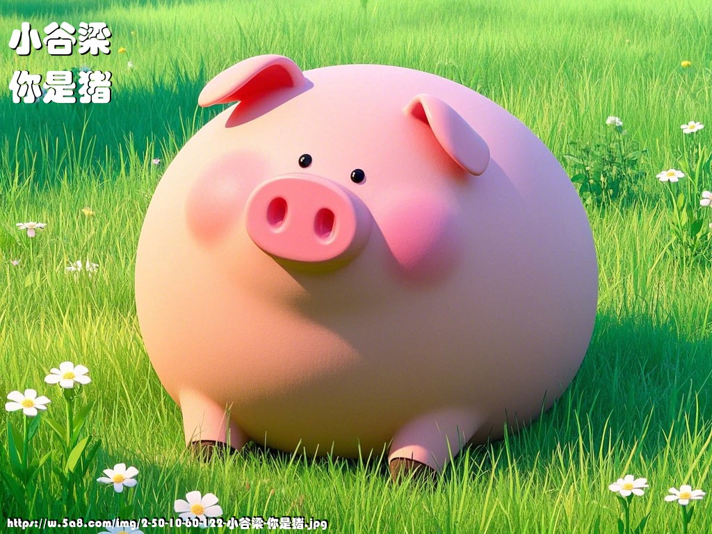 小谷梁你是猪搞笑图片