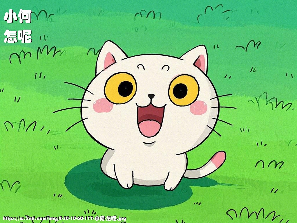 小何怎呢搞笑图片
