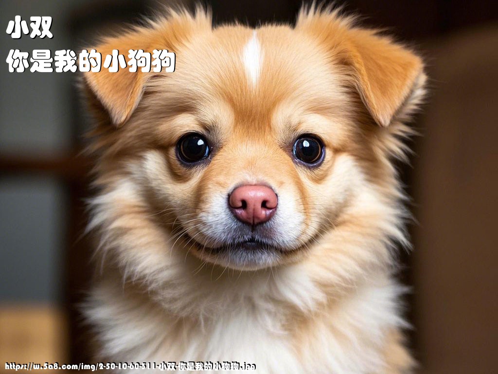 小双你是我的小狗狗搞笑图片