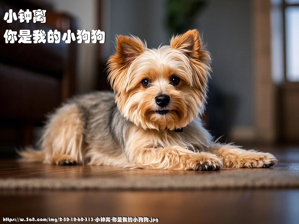 小钟离你是我的小狗狗搞笑图片