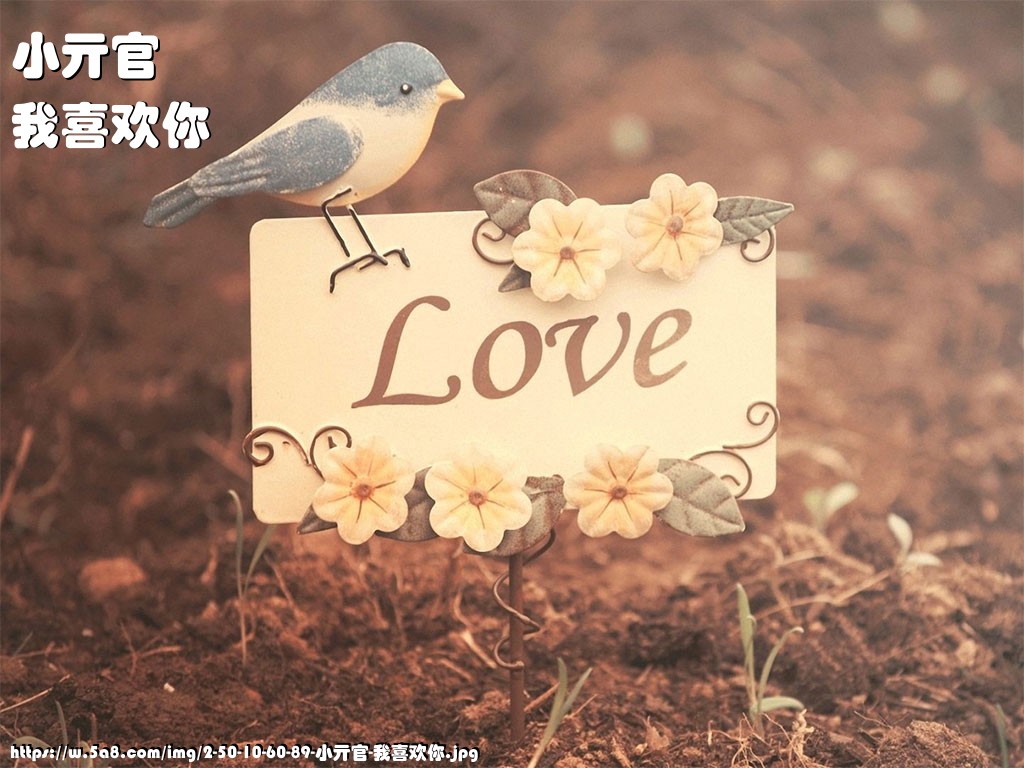 小亓官我喜欢你搞笑图片