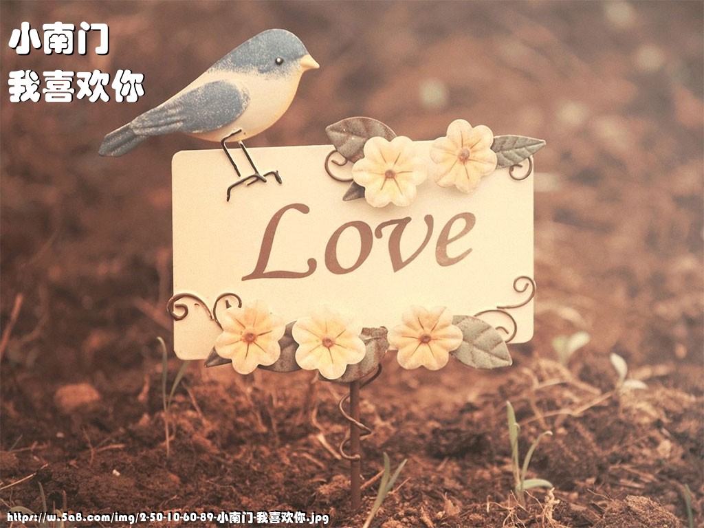 小南门我喜欢你搞笑图片