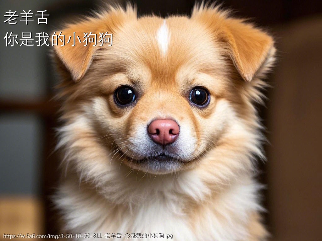 老羊舌你是我的小狗狗搞笑图片