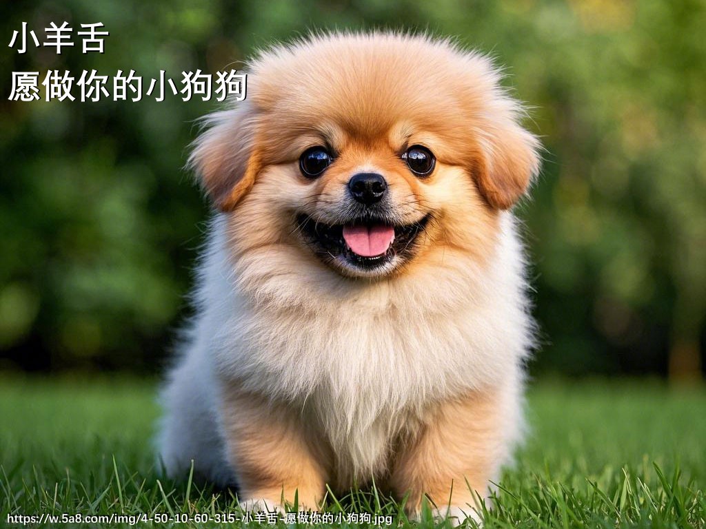 小羊舌愿做你的小狗狗搞笑图片