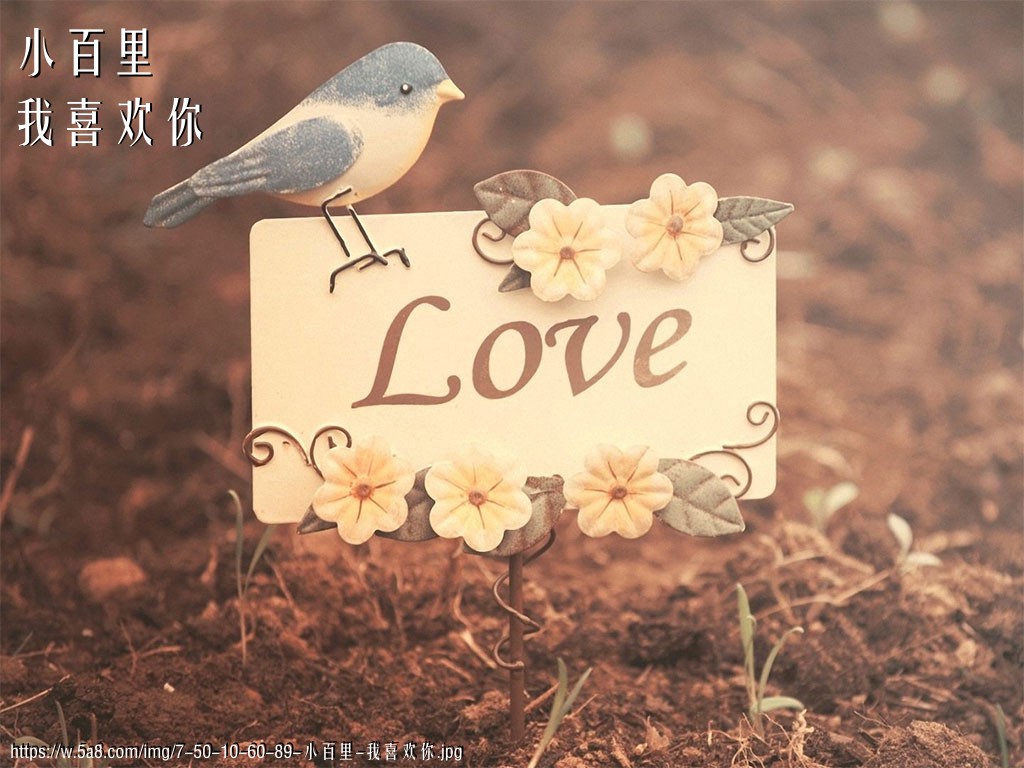 小百里我喜欢你搞笑图片
